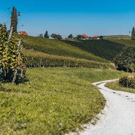 Wellness Vinita Villa