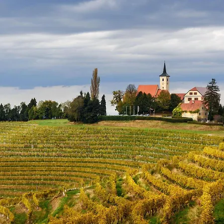 Wellness Vinita Villa *