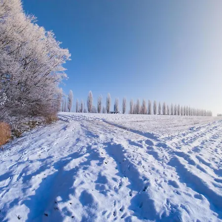 Wellness Vinita Villa Sveti Jurij ob Scavnici