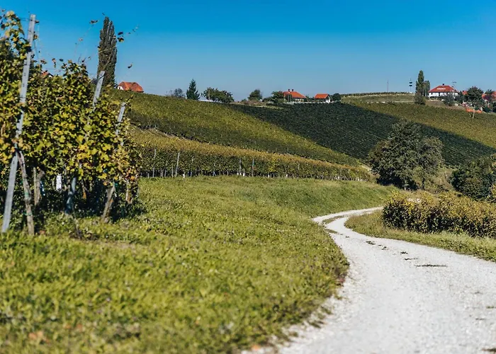 Wellness Vinita Villa