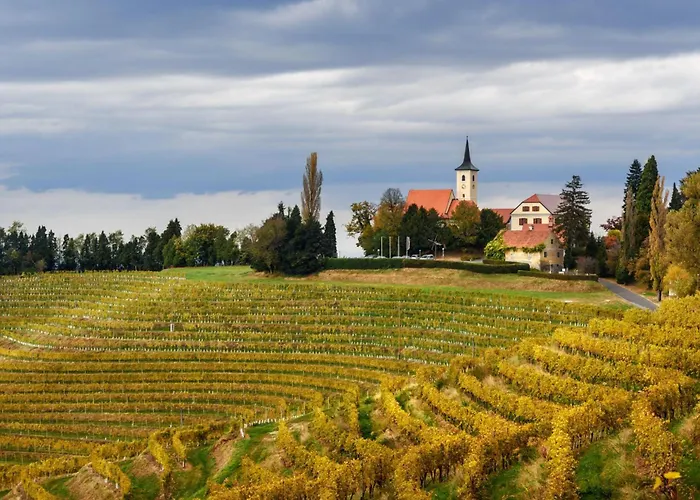 Wellness Vinita Villa *