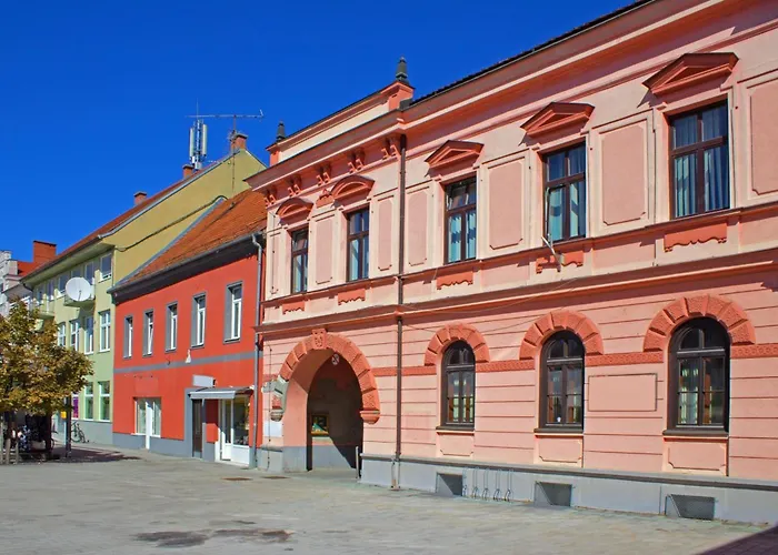 Villa Wellness Vinita *