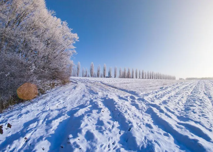 Wellness Vinita Villa Sveti Jurij ob Scavnici